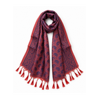 A red and navy blue paisley patterned scarf with tassel fringe, styled in a loop on a white background.